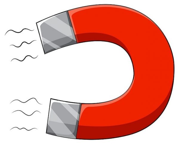 magnet
