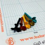 ملخ قایق کوچک