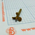 ملخ قایق کوچک - Image 5