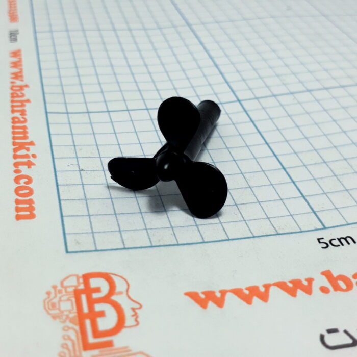 ملخ قایق متوسط - Image 10