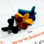 ملخ قایق متوسط