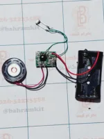 صدای پرنده چینی  3 ولت (1 )با جاباتری و بلندگو