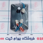 فلاشر 2 کانال 220 ولت ( آلاکلنگی ) با کنترل سرعت