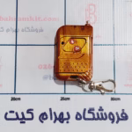 ریموت کنترل 2 کانال   LEARN - 315 mhz